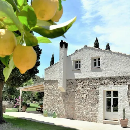 Giallo Limone Teulada