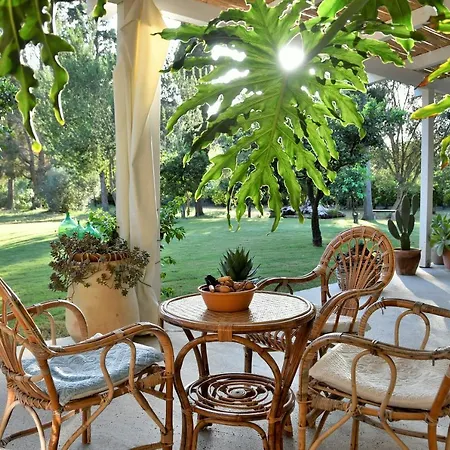 Giallo Limone Bed & Breakfast 3*