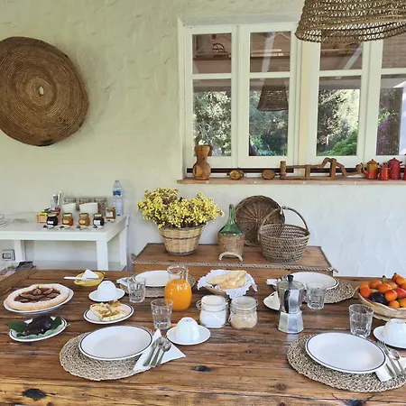 Giallo Limone Teulada