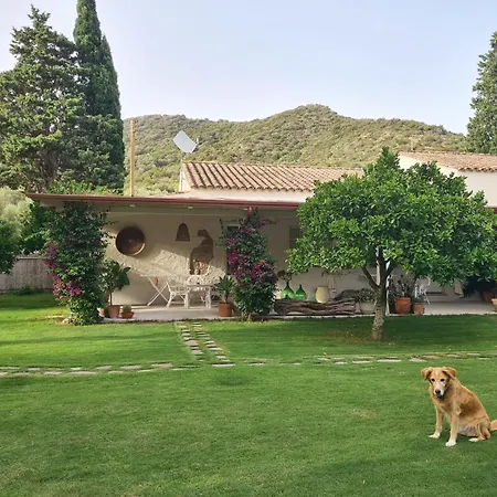 Giallo Limone Frühstückspension 3*