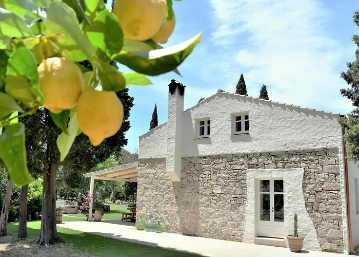 Giallo Limone Teulada