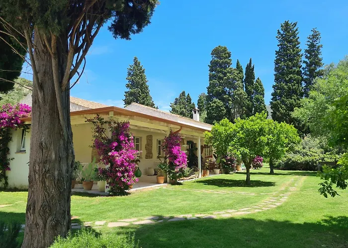 Giallo Limone 3* Teulada